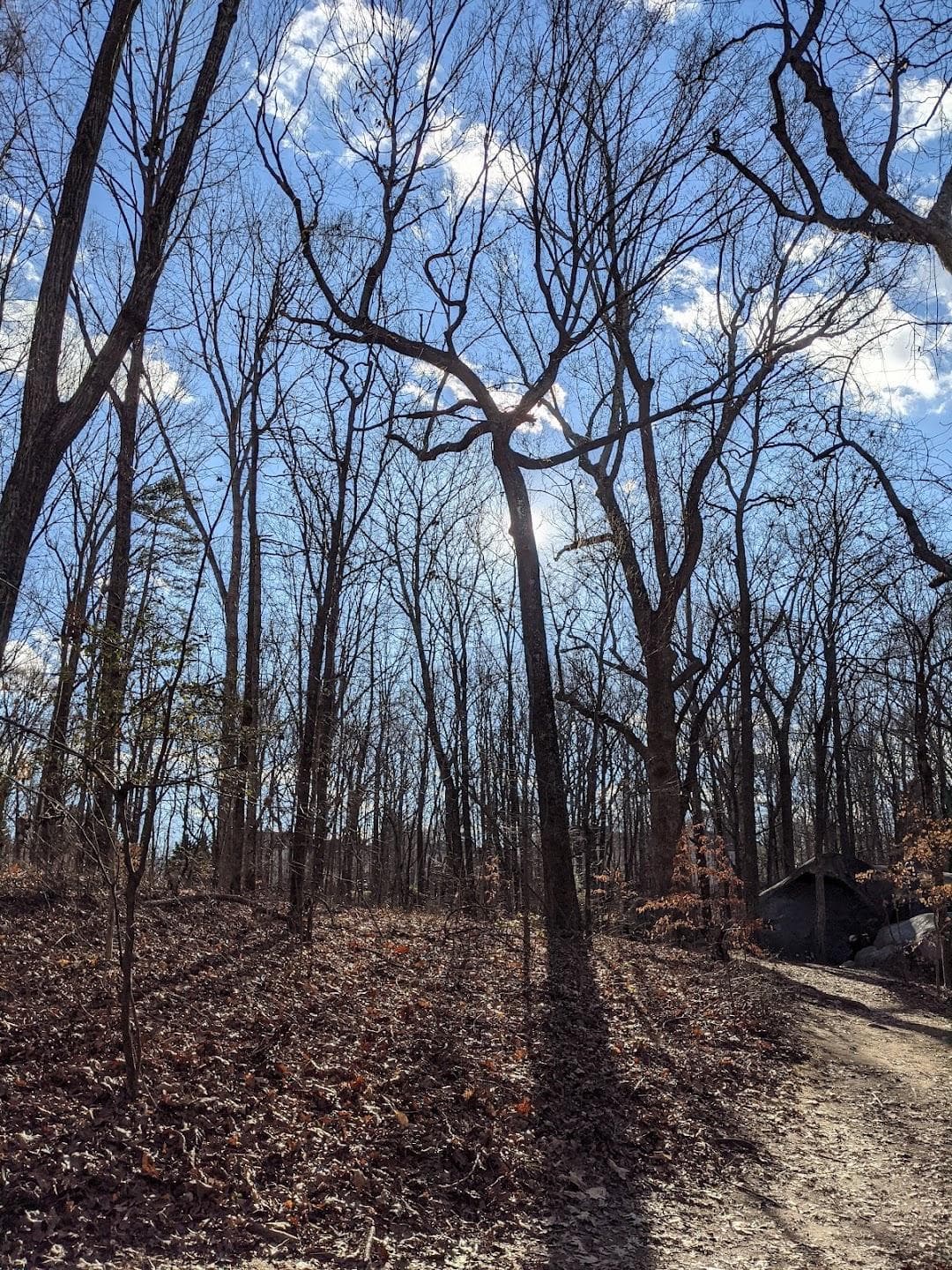 Big Rock Nature Preserve photo 1