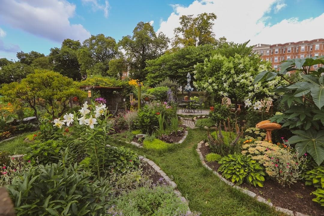 The Fenway Garden Society photo 5