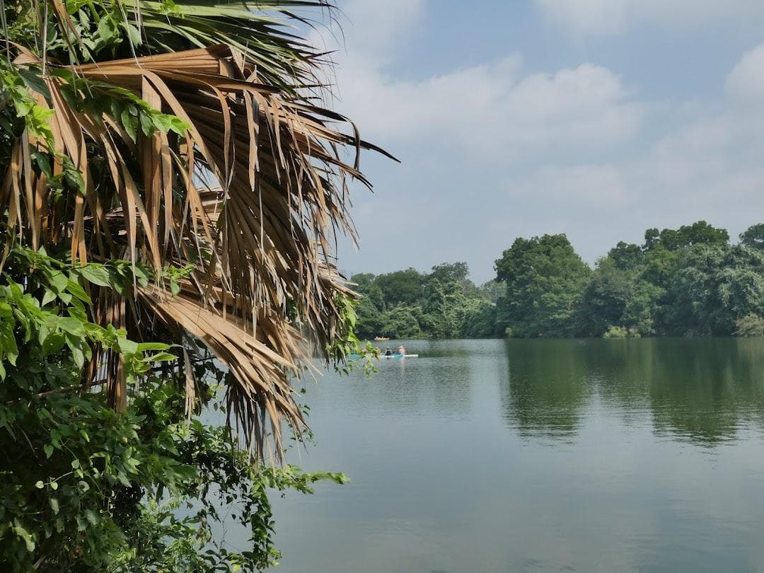 Lady Bird Lake photo 5