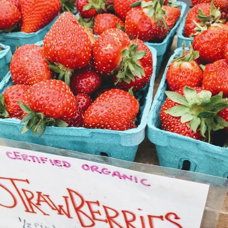 Brookline Farmers' Market photo 1