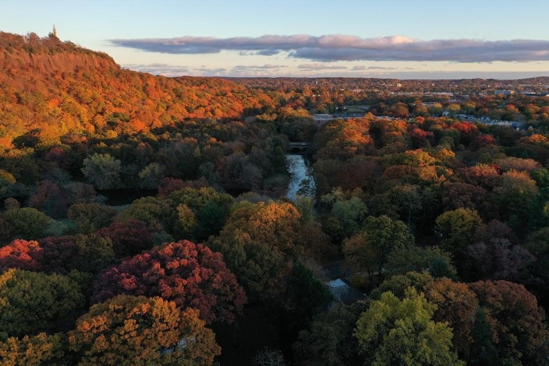 East Rock photo 4