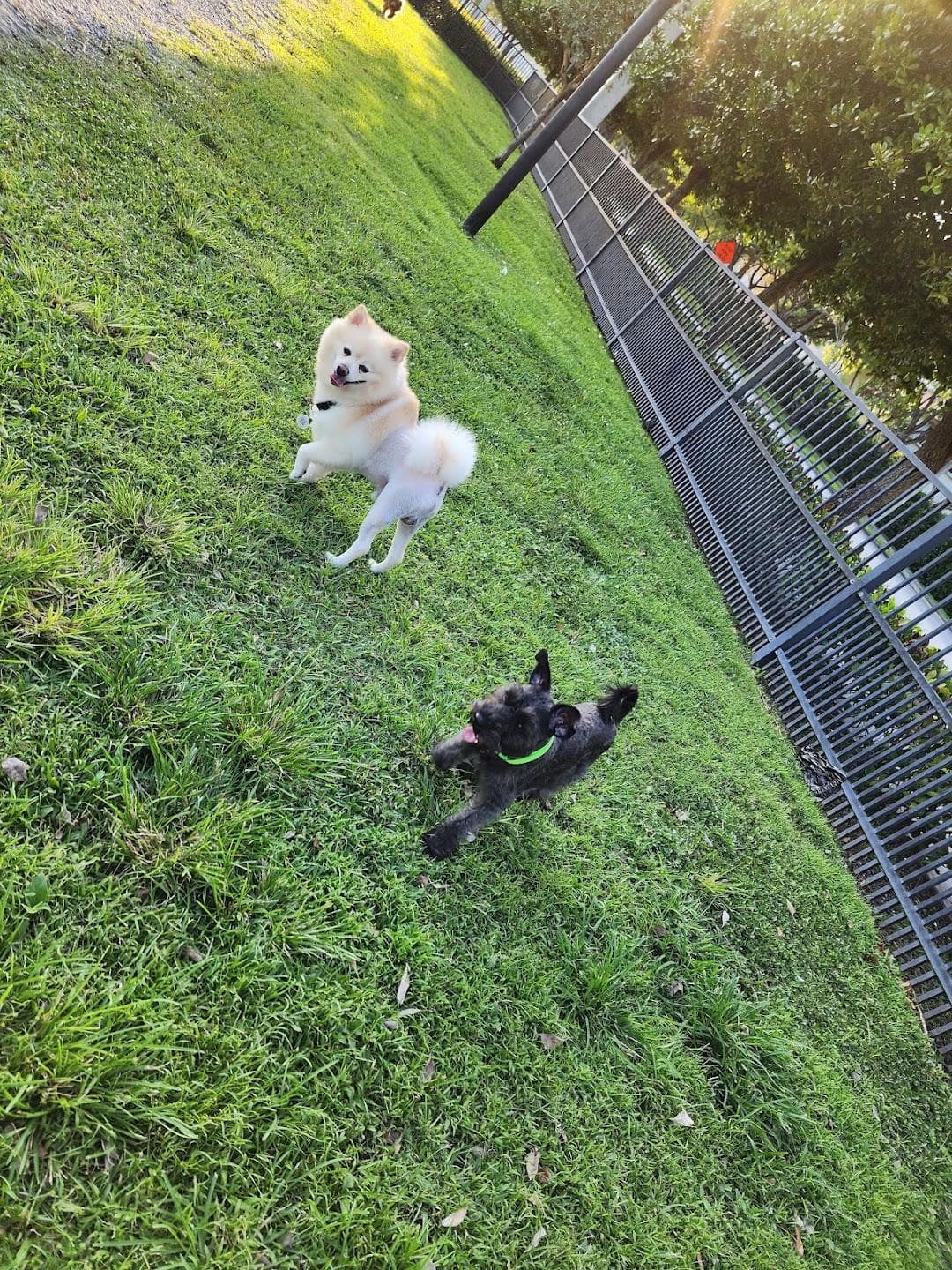 Trails & Tails Park photo 6