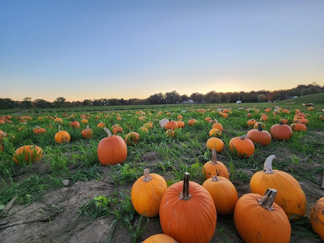 Verrill Farm photo 5
