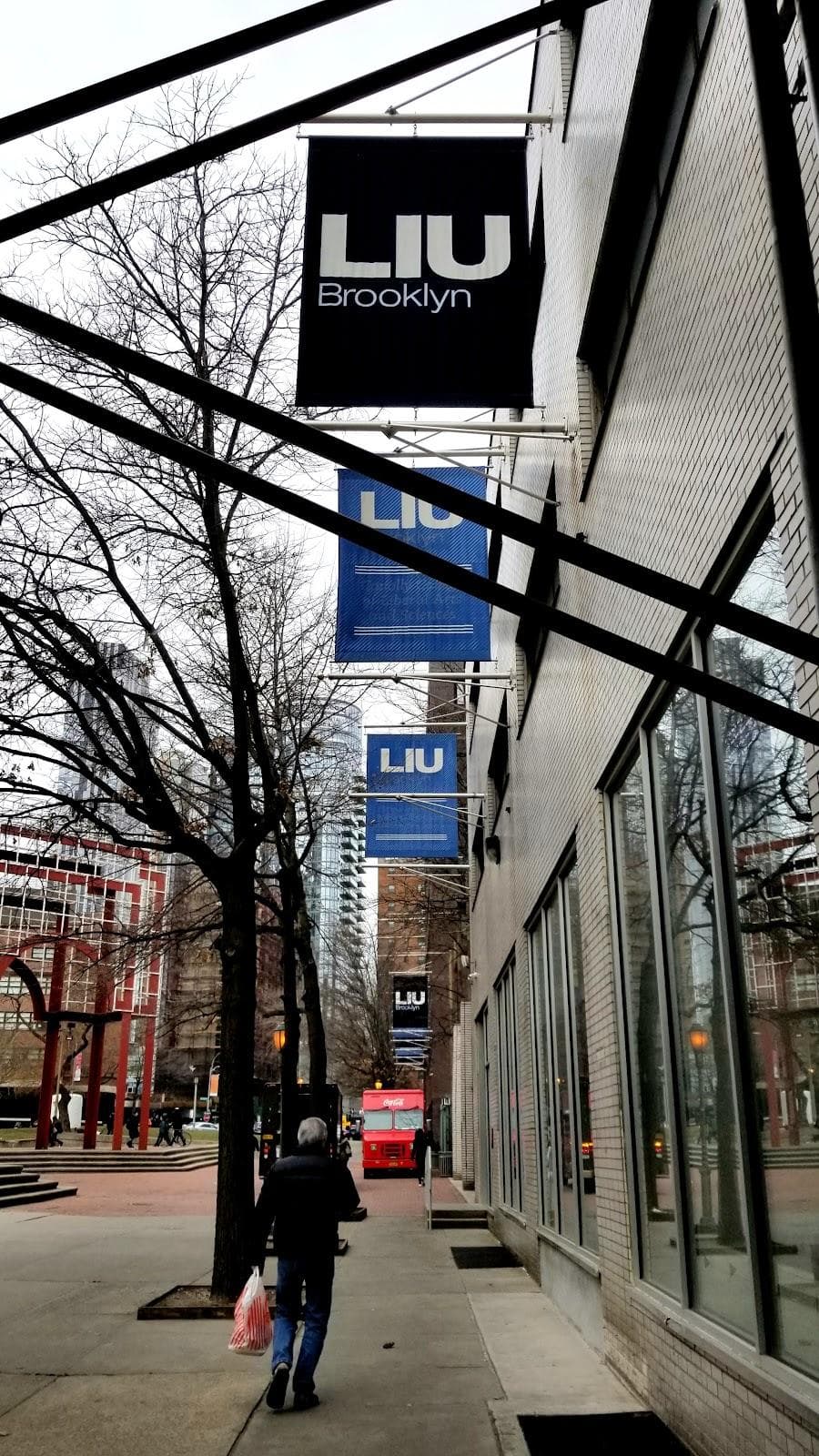 Long Island University Brooklyn photo 5