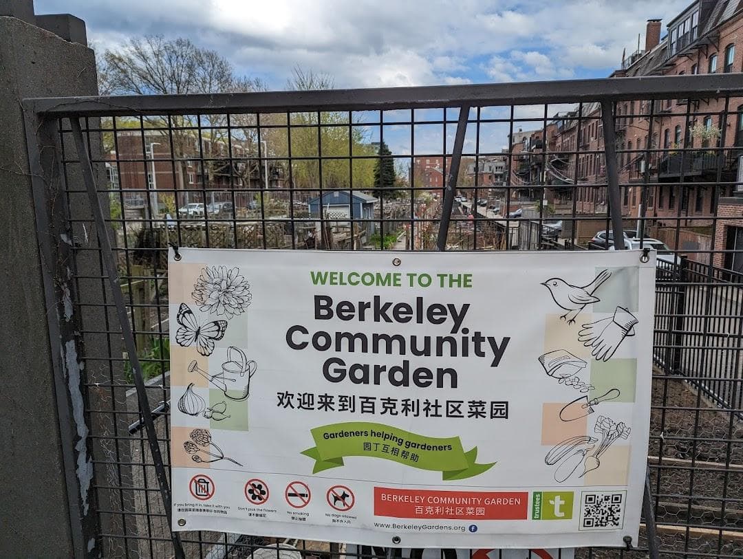 Berkeley Community Garden photo 4