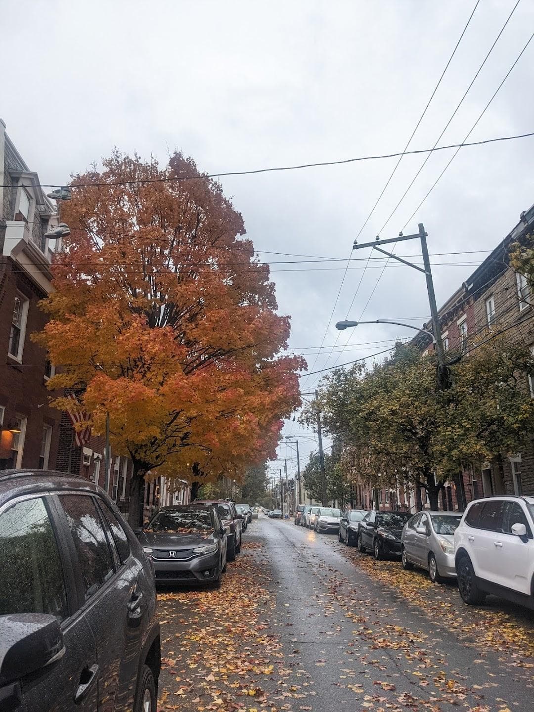 Fishtown photo 1