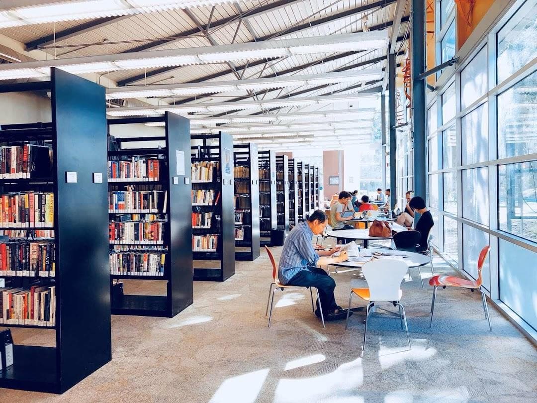 Spicewood Springs Branch, Austin Public Library photo 2