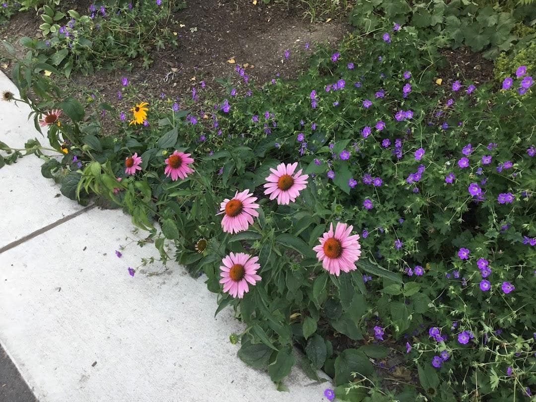 Under the ‘K’ Bridge Park photo 5