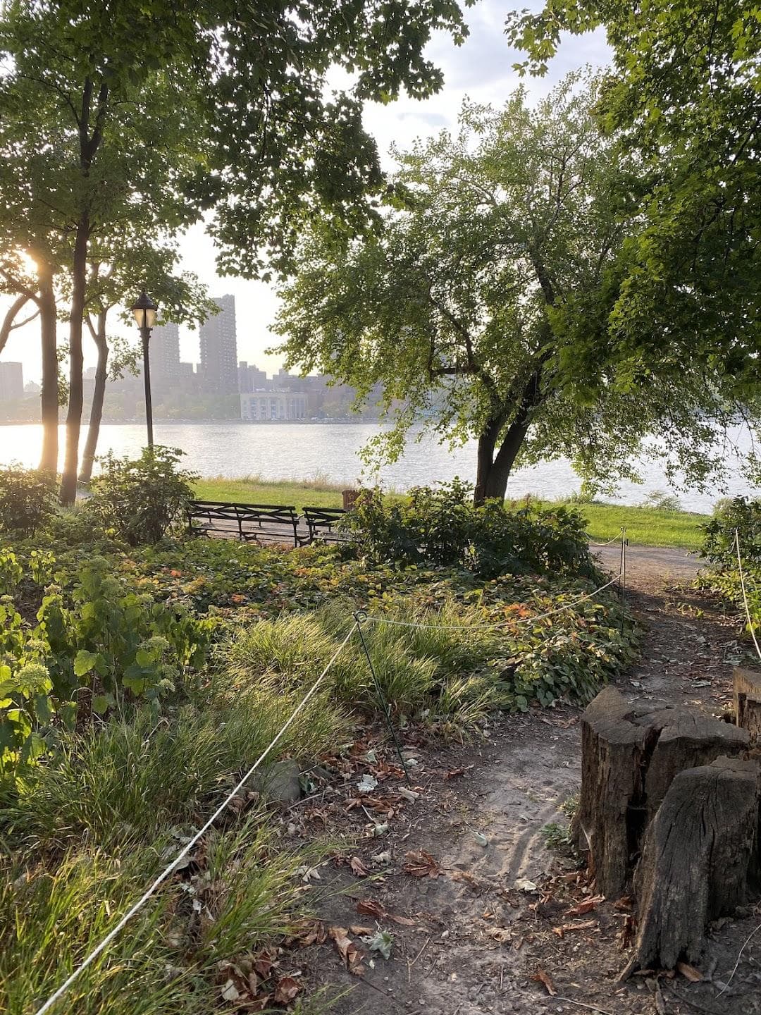 Water's Edge Garden photo 6