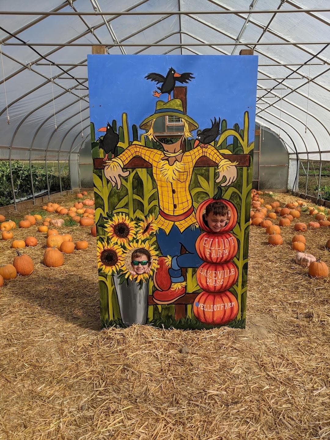 Elliot Farm photo 6