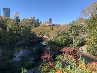 Central Park