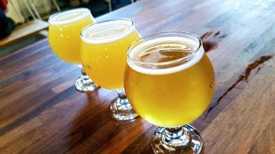 Finback Brewery photo 5