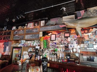 Spring Lounge photo 6