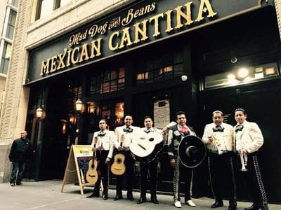 Mad Dog & Beans Mexican Cantina