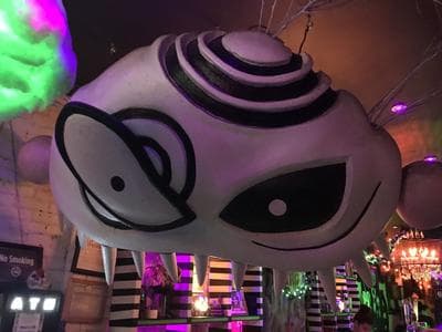 Beetle House photo 3