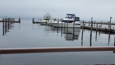 Flynn's Fire Island photo 3