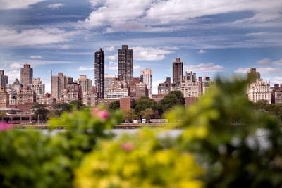 Socrates Sculpture Park