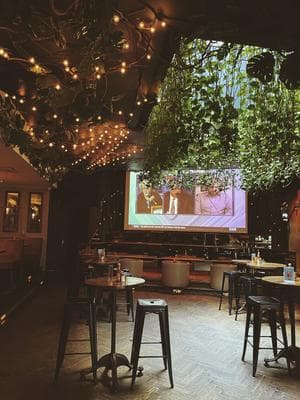 Common Ground Bar photo 2