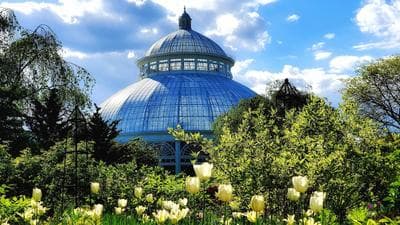 New York Botanical Garden photo 5