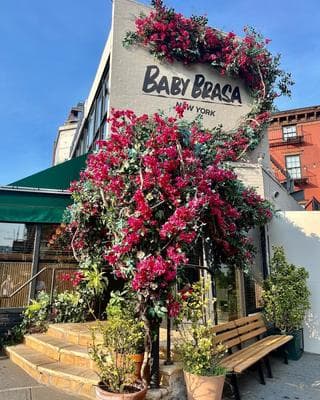 Baby Brasa photo 1