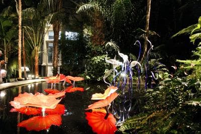 New York Botanical Garden photo 3