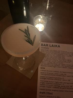 Bar Laika by e-flux