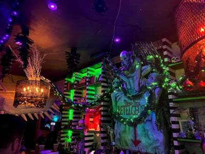 Beetle House photo 1