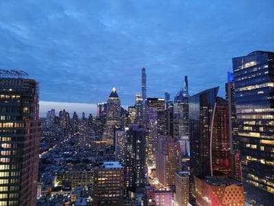 Dear Irving on Hudson Rooftop Bar photo 6
