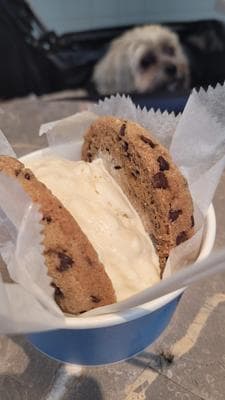 Van Leeuwen Ice Cream photo 2