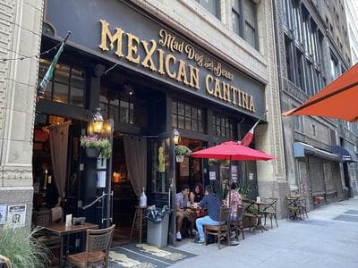 Mad Dog & Beans Mexican Cantina photo 4