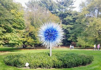New York Botanical Garden photo 4