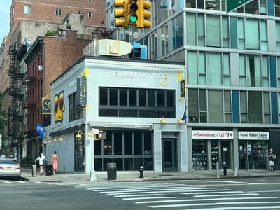 The Ugly Duckling NYC photo 2