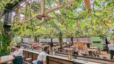 SERRA by Birreria photo 6