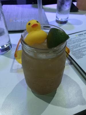 The Ugly Duckling NYC