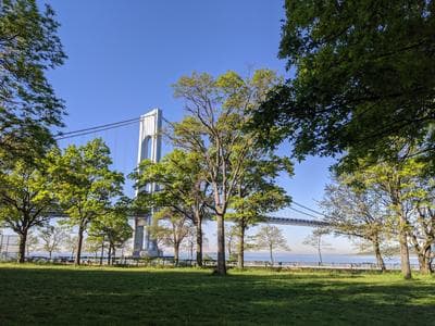 Bay Ridge photo 5