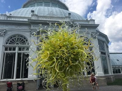 New York Botanical Garden photo 1