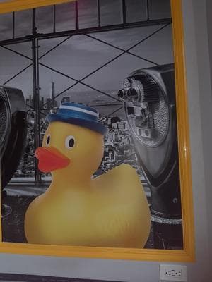 The Ugly Duckling NYC photo 5