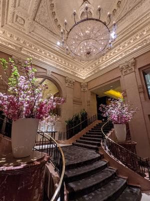 Salon de Ning photo 2