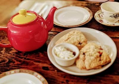 Alice's Tea Cup photo 5