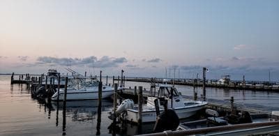 Flynn's Fire Island photo 4