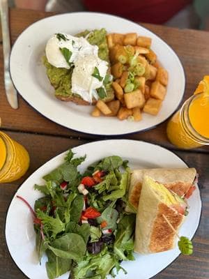 The Grey Dog—Flatiron photo 6