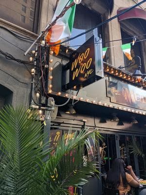 The Woo Woo NYC photo 6