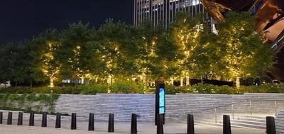 Backyard at Hudson Yards photo 4