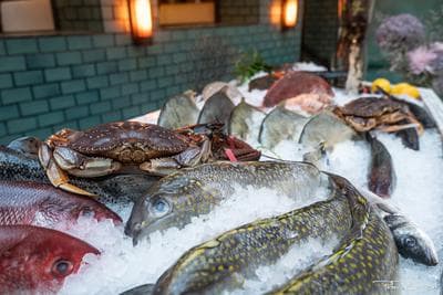 Lamia's Fish Market photo 5