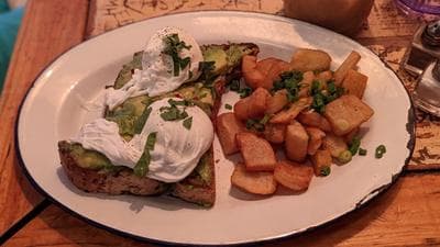 The Grey Dog—Chelsea