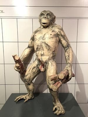 Museum of Sex photo 4