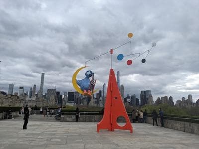 The Met Roof Garden Bar photo 3