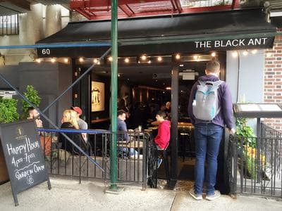 The Black Ant