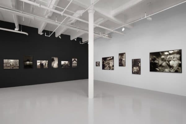 Nicola Vassell Gallery photo 4