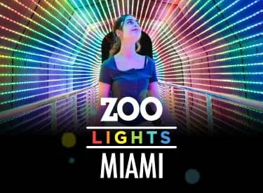 Zoo Lights- Select Nights